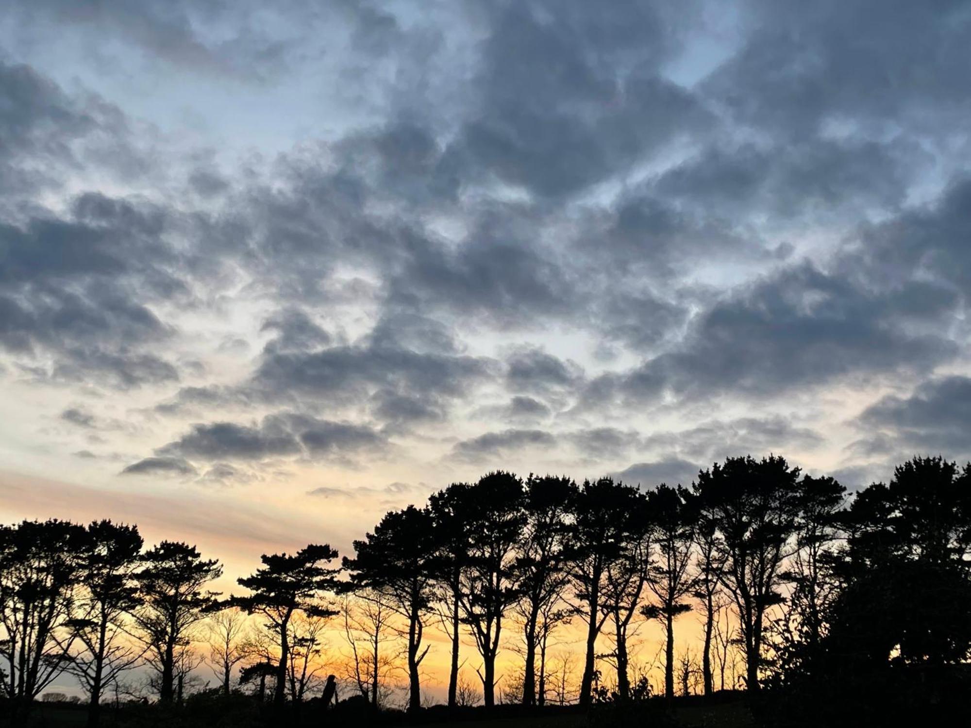 Fowey River Views Εξωτερικό φωτογραφία